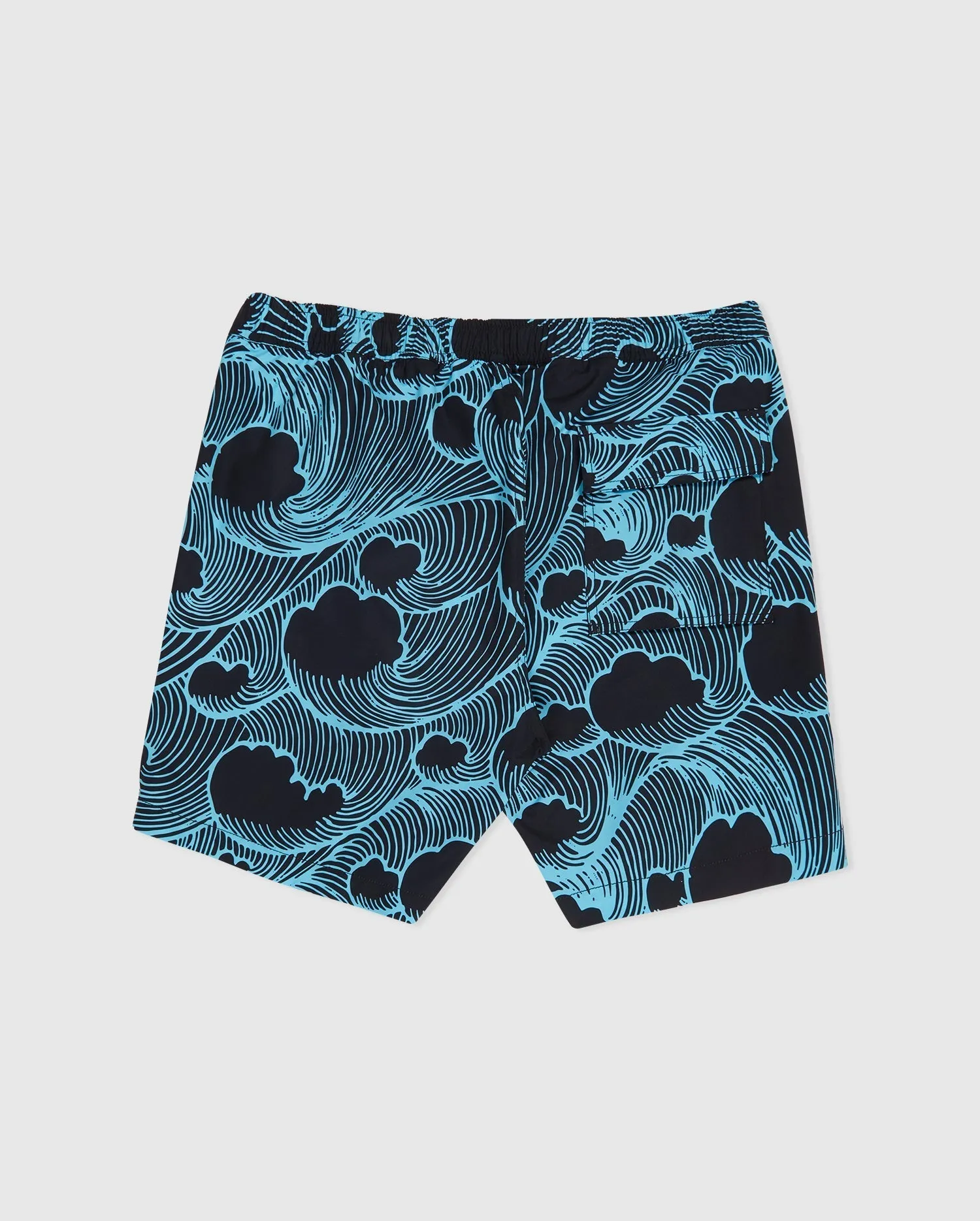 MENS BIG AND TALL THAMES SWIM SHORTS - B9W430T1PO