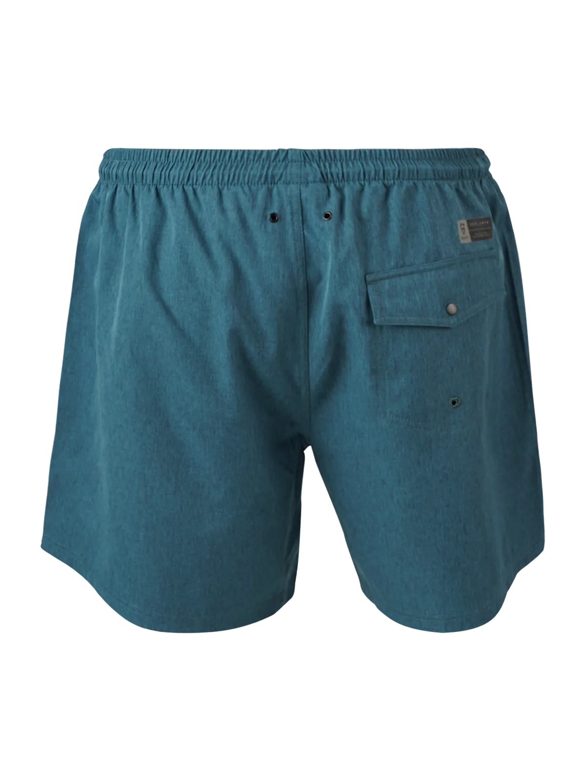 Volleyer Men Swim Shorts | Green